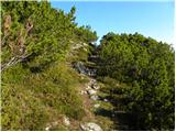 Sele-Zvrhnji Kot (Male) / Zell-Oberwinkel (Male) - Lokovnikov Grintovec / Grintoutz